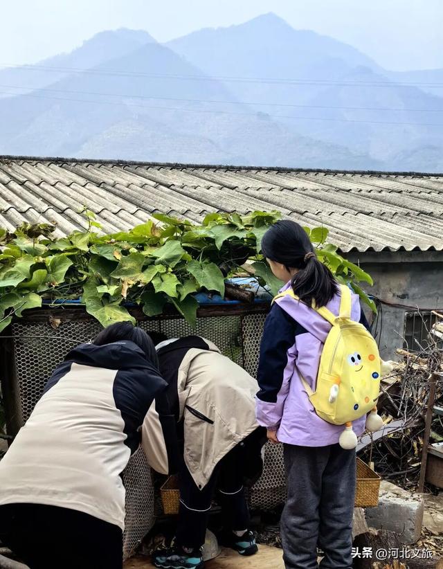 李子柒式的诗意栖居，赞皇也有！