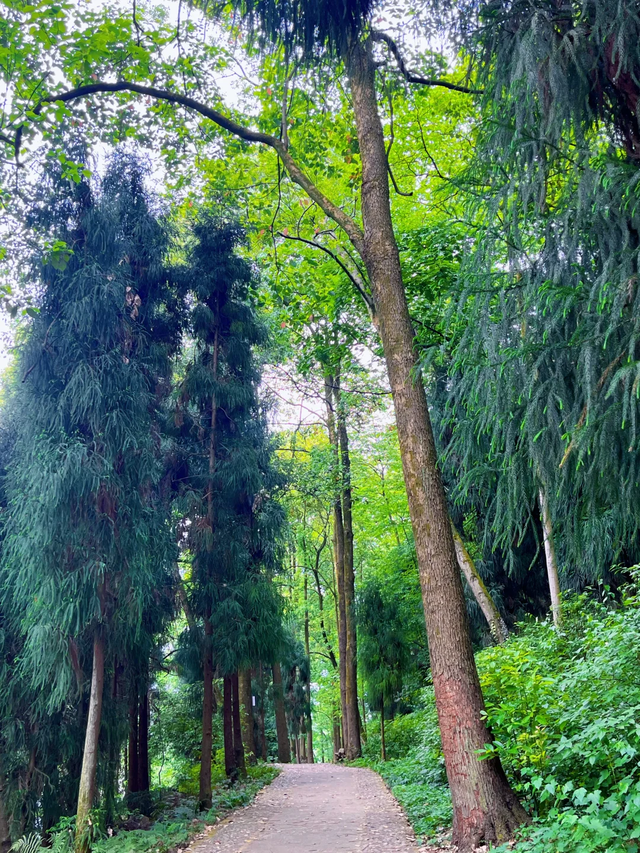 成都1.5h闯进免费"小九寨"，耍水露营钓鱼徒步，遛娃避暑N刷地！