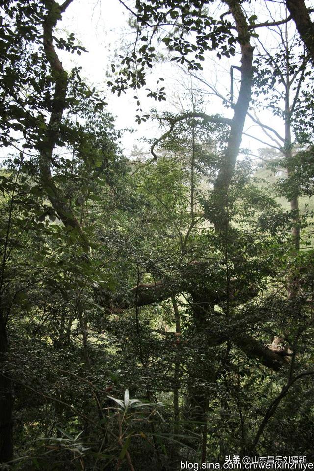 瞻仰白鹿洞书院[一] （江西之旅第十三篇）