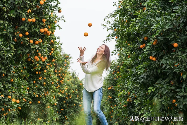 选择安塔利亚度过暑假的十大理由