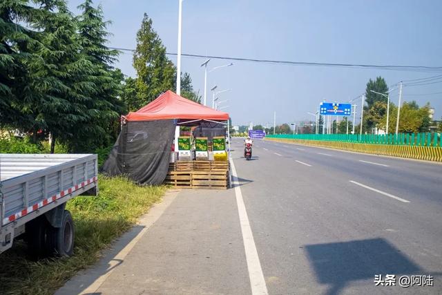 在陕西107省道心甘情愿被“套路”，直叹周至猕猴桃太好吃啦