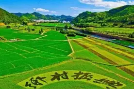 西红柿0.5元一斤，牛肉23元一斤，小麦1.17元一斤图片