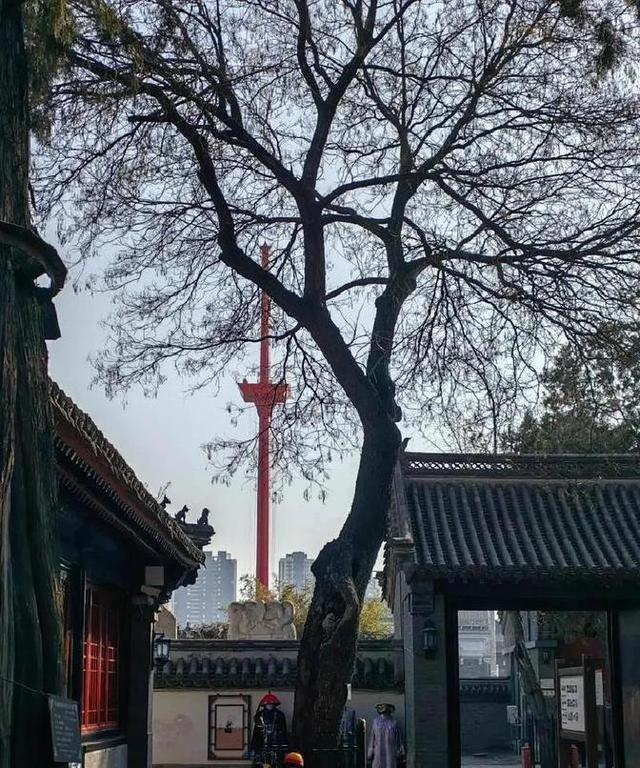 北京没想到，天津也没想到，如今河北保定，成了周边遛弯的好去处