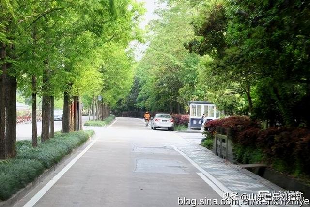 杭州324路公交车沿途风光（皖浙沪旅游122）