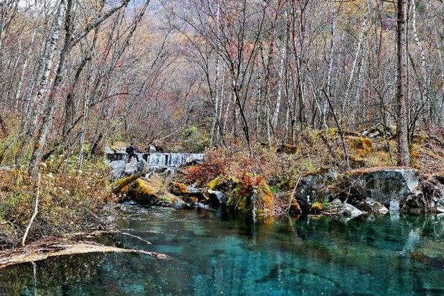四川这个地方的初冬，是彩色的！