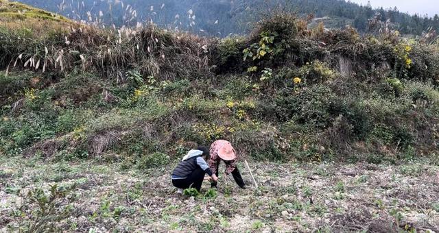 独自旅行，收获的「礼物」是一个爱人