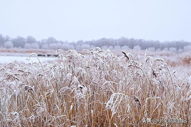 立冬在月头，过年不出手；立冬在月中，单衣就过冬，今年立冬在哪