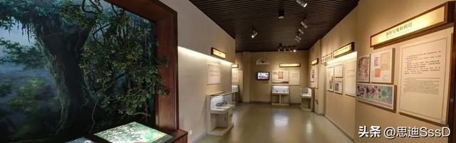 国家一级博物馆之124 中国茶叶博物馆