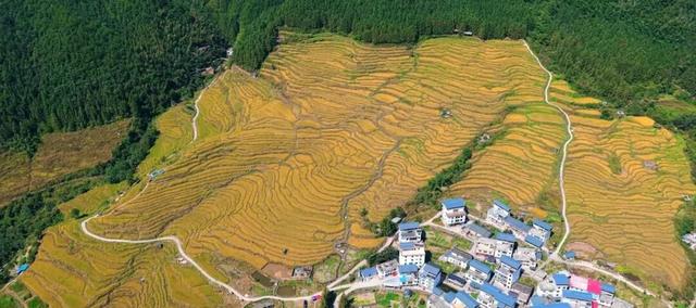 在连山，如何让一片梯田重获新生