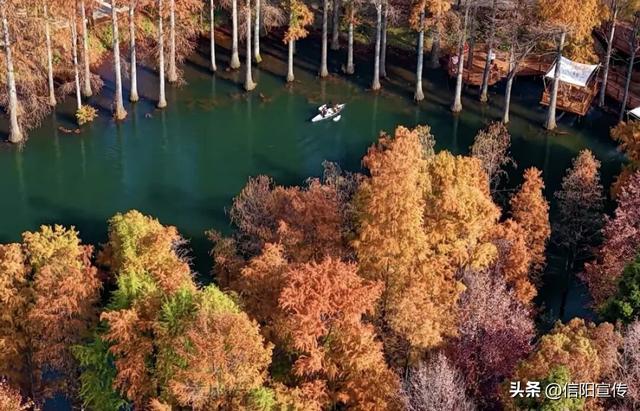 信阳冬季的N种打开方式，总有一种让你心动