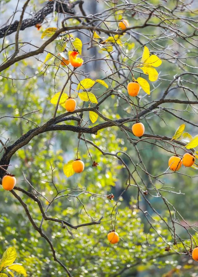【多图预警！】这里不是5A景区，是鲁南制药！