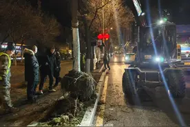 沈阳开展冬季重点街路树木抽稀工作图片