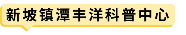 国庆假期海口活动总集→