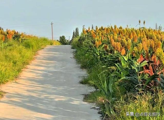 成都5个小众景点，每一处都让人惊讶，不要门票，地铁公交直达！