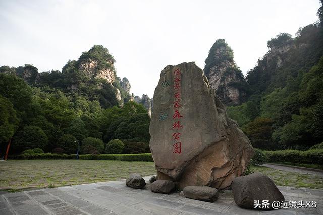 张家界国家森林公园的自然诗篇