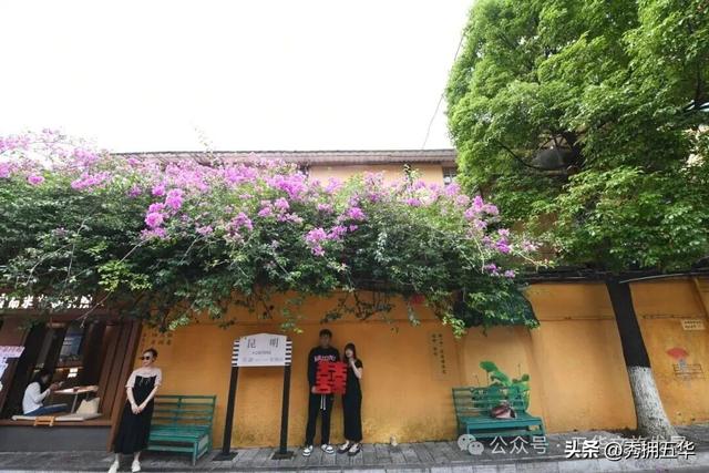 为赛事加“氛”！免票！折扣！超大波“滇超”昆明福利来袭！