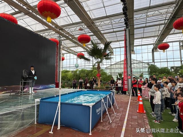 紧急提醒！靖远海洋动物嘉年华剩最后2天，这份游玩攻略请收好！