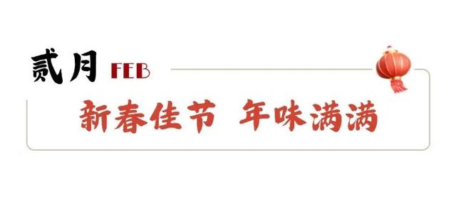 市南的2026，应该这样过...