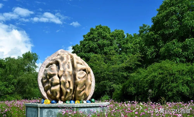 “冬游西藏”限时福利！林芝A级景区免门票啦！完整名单速领→