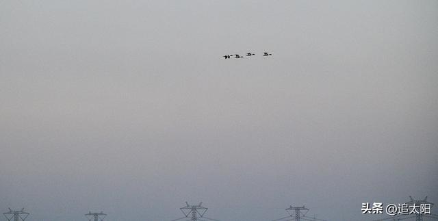 景泰盐沼湿地暮秋风景异