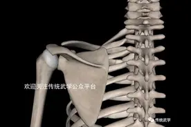 沉肩坠肘怎么理解，有什么用？图片