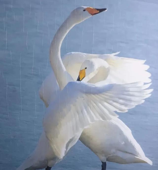 我是河南人，去了趟三门峡，不吹不黑	，三门峡比网上评价的还要好