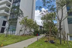 业主气炸了！海口的碧桂园项目，大部分逾期交付！图片