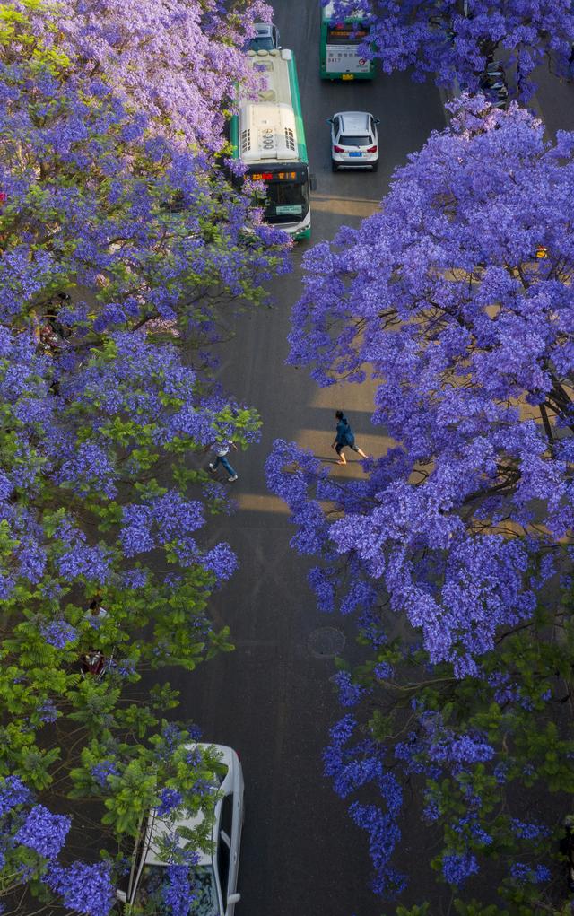 2025国内最受欢迎的50个旅行地，宜老宜少，你去过了几个？