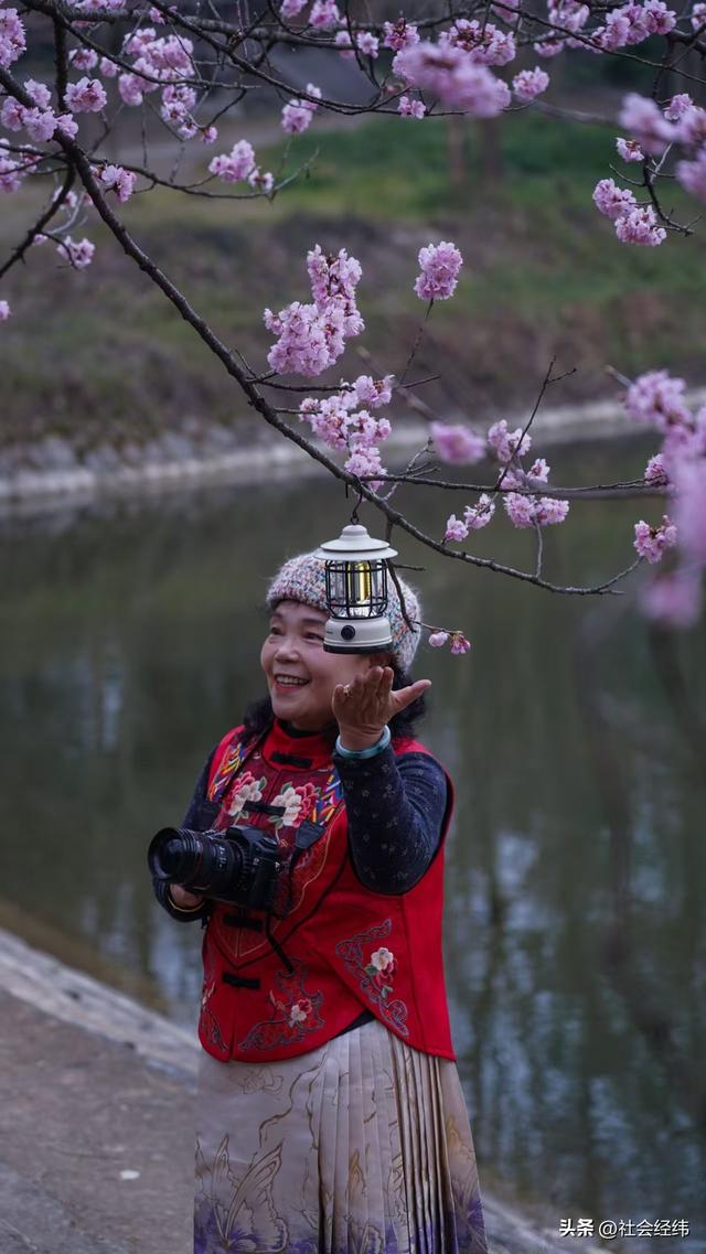 每日一景|寒意未消春意先至 南京中山植物园早樱绽放迎游人