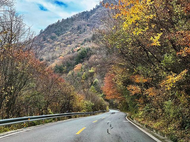 2024深秋四川行19 神农架风景区2 华中屋脊的五彩秘境