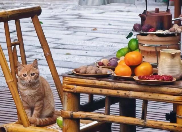 跟着赛事游遵义 | 冬季文旅“四件套”之围炉！赤水不止茶，还有更多新玩法……