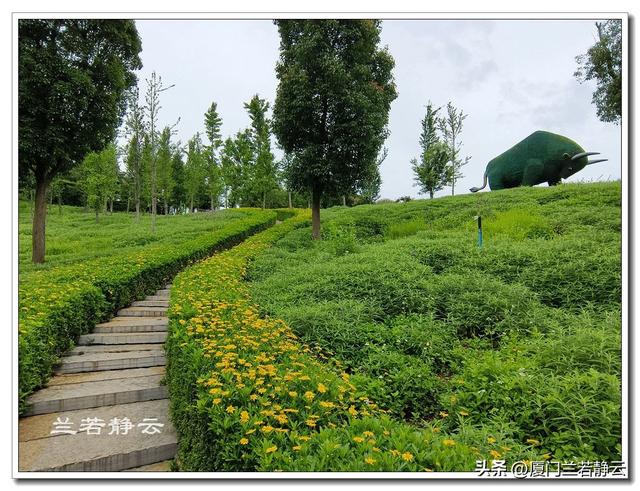 云南弥勒：太平湖森林公园的大地艺术作品