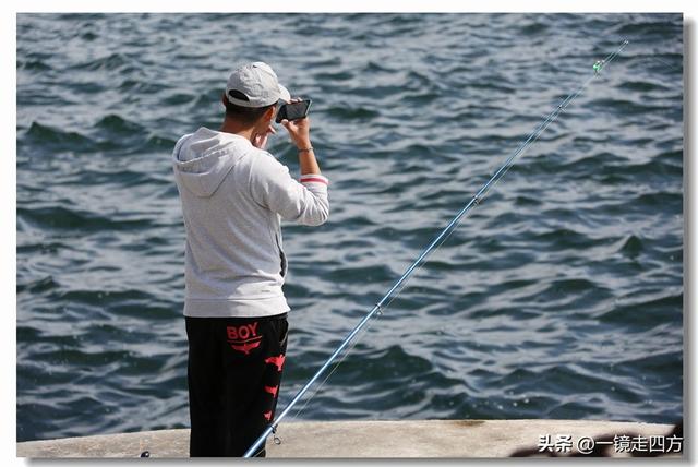 在大连陵水湾打造出的“海纳百川”国际雕塑景观带