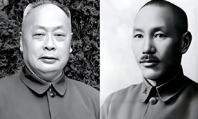 1955年，蒋介石指着十大元帅的照片，对宋美龄说：这个人太可怕了