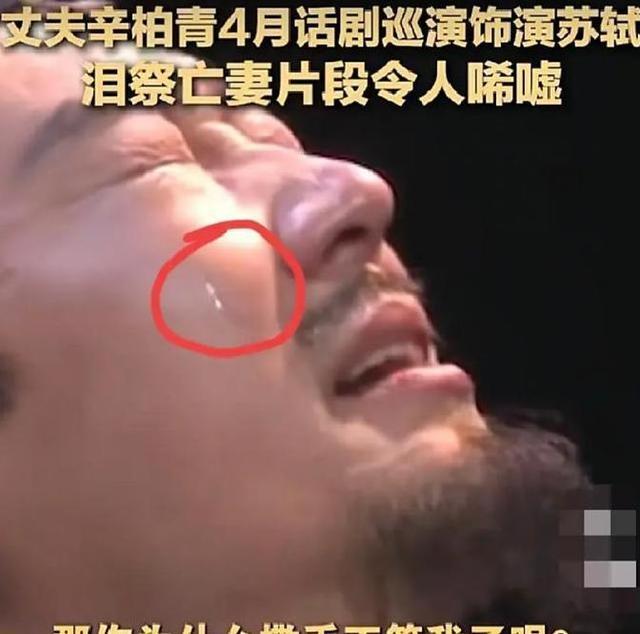 爱妻朱媛媛离世五月后，辛柏青再传来噩讯，原来他仍未走出悲伤