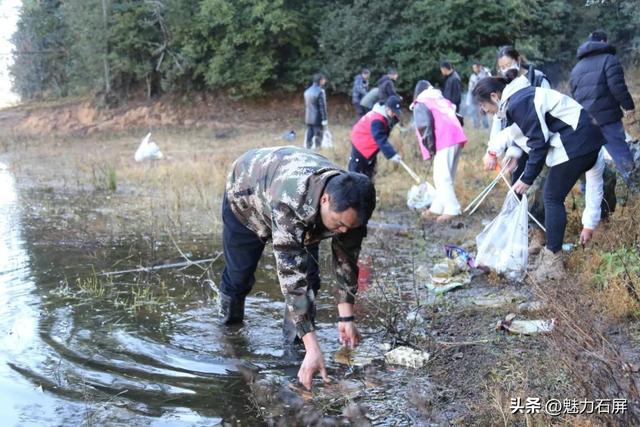 绿美哨冲：青山不负人 生态生金银