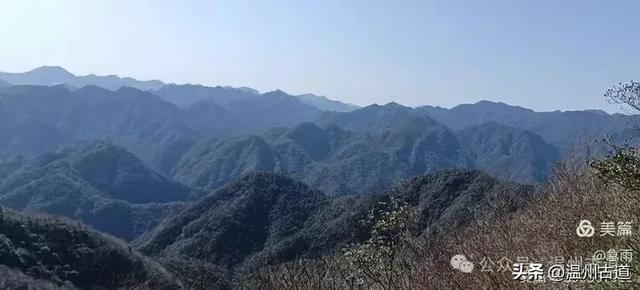 五次试走,终于揭开楠溪江源头永仙边界这条防火道的神秘面纱!