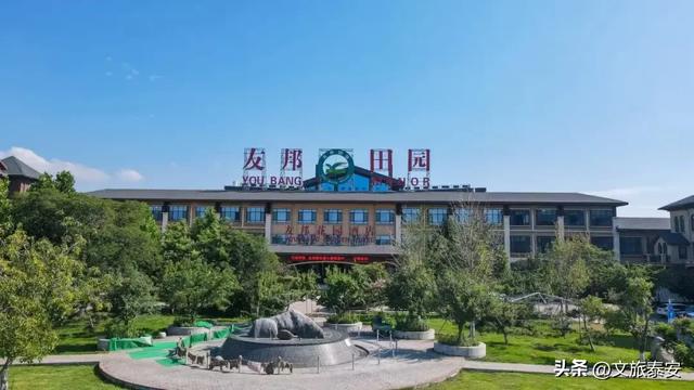 速看！泰安市春节寒假研学资源已备好，特色活动乐享年趣~