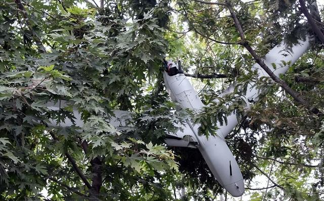 尹锡悦的首次量刑，出乎所有人的意料，李在明最后关头网开一面？