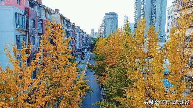 限时绝美!黄石街头颜值巅峰 周末来打卡