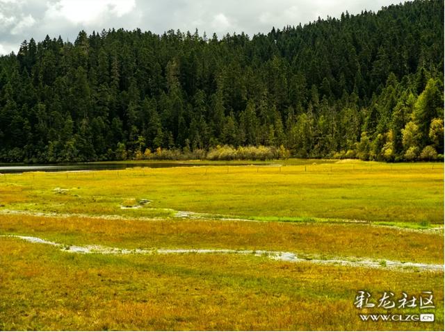 秋天的影像诗 普达措国家森林公园的秋天静谧安详，如诗如画