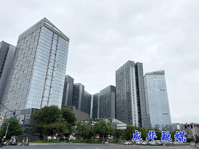 双店路，差点就把你划过去了！｜成华融媒