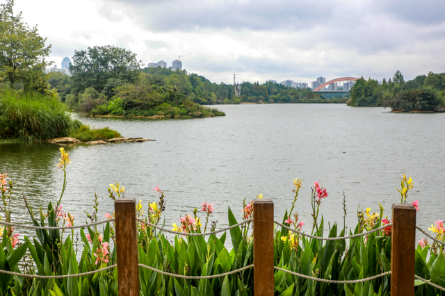 错过又要等一年！走，抓住贵阳短暂的秋，来一场ParkWalk→