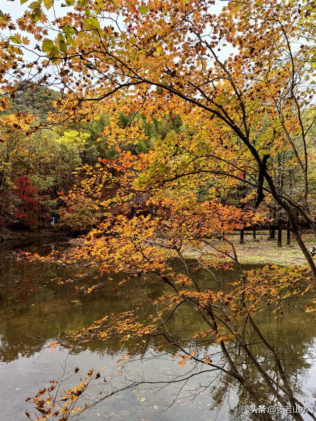2025辽宁赏秋之旅日记(3)——游览洋湖沟和老边沟