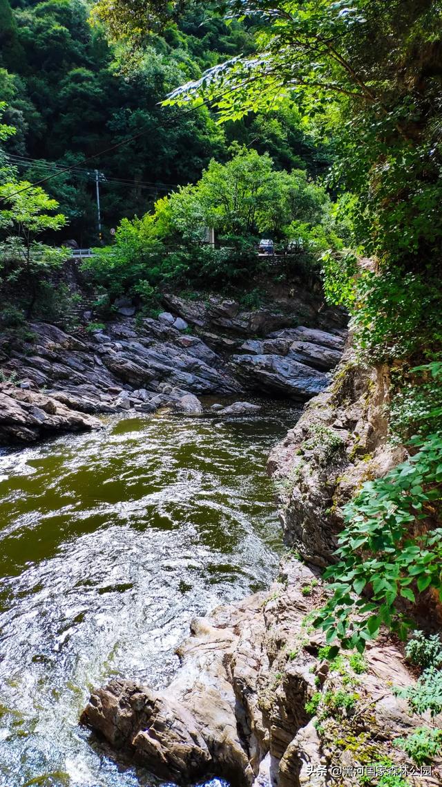 坐落于秦岭深处的黑河森林公园，正美得更肆无忌惮