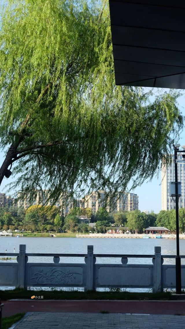 不上班的随州人，最近都去哪儿了？