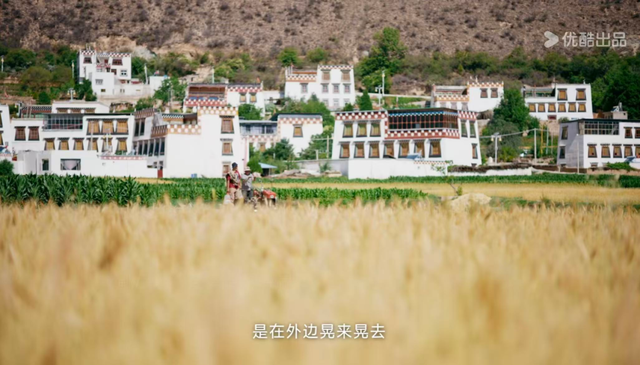 90%人没听过的香巴拉秘境，是最爱猫的咪咪痛城