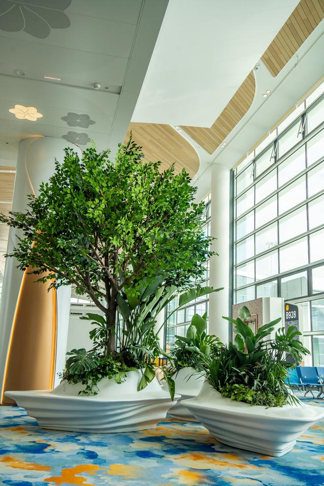 广州白云T3航站楼启用：全国最大单体机场诞生，岭南花城新地标