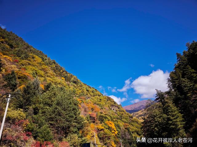 米亚罗彩林季，观赏一日游！