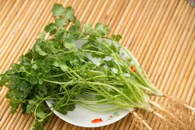 妈妈临走包了20斤水饺塞满我家冰箱，这种自我感动的付出让我窒息图片